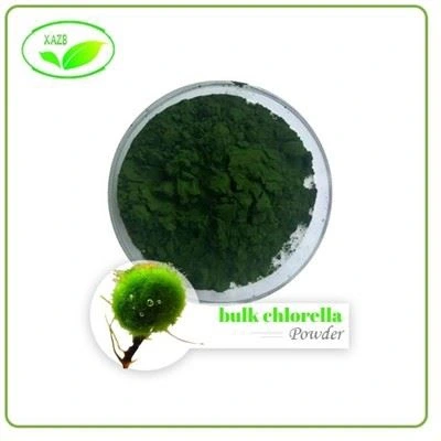 Bulk Chlorella Powder
